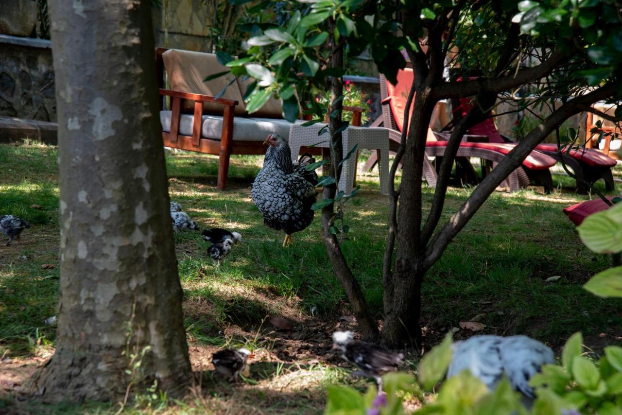 Fener Motel Şile Ngoại thất bức ảnh